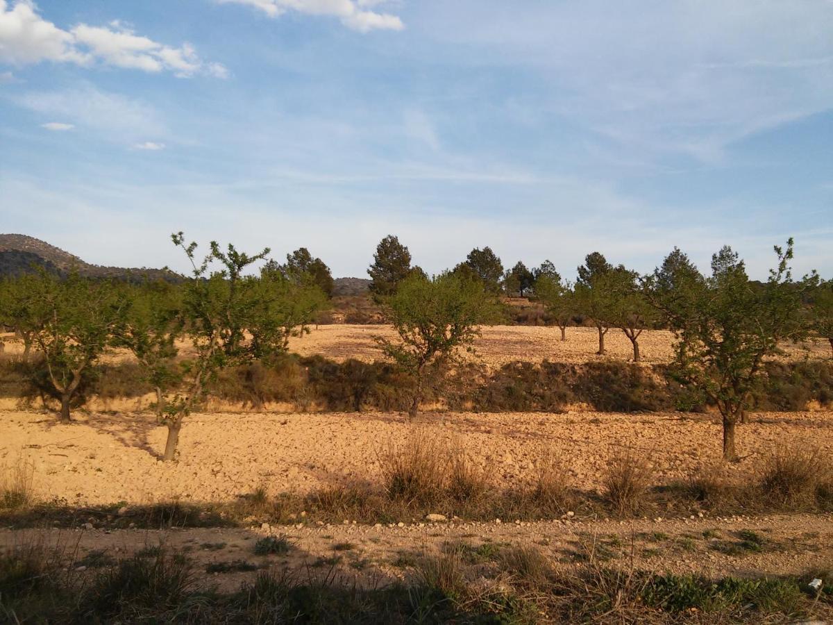 Casa Rural El Carmen De La Sierra Yecla Exterior foto